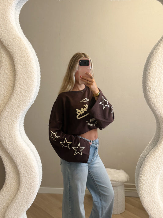 New York longsleeve bruin